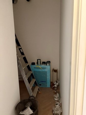 IMG_1621 Medium.jpeg